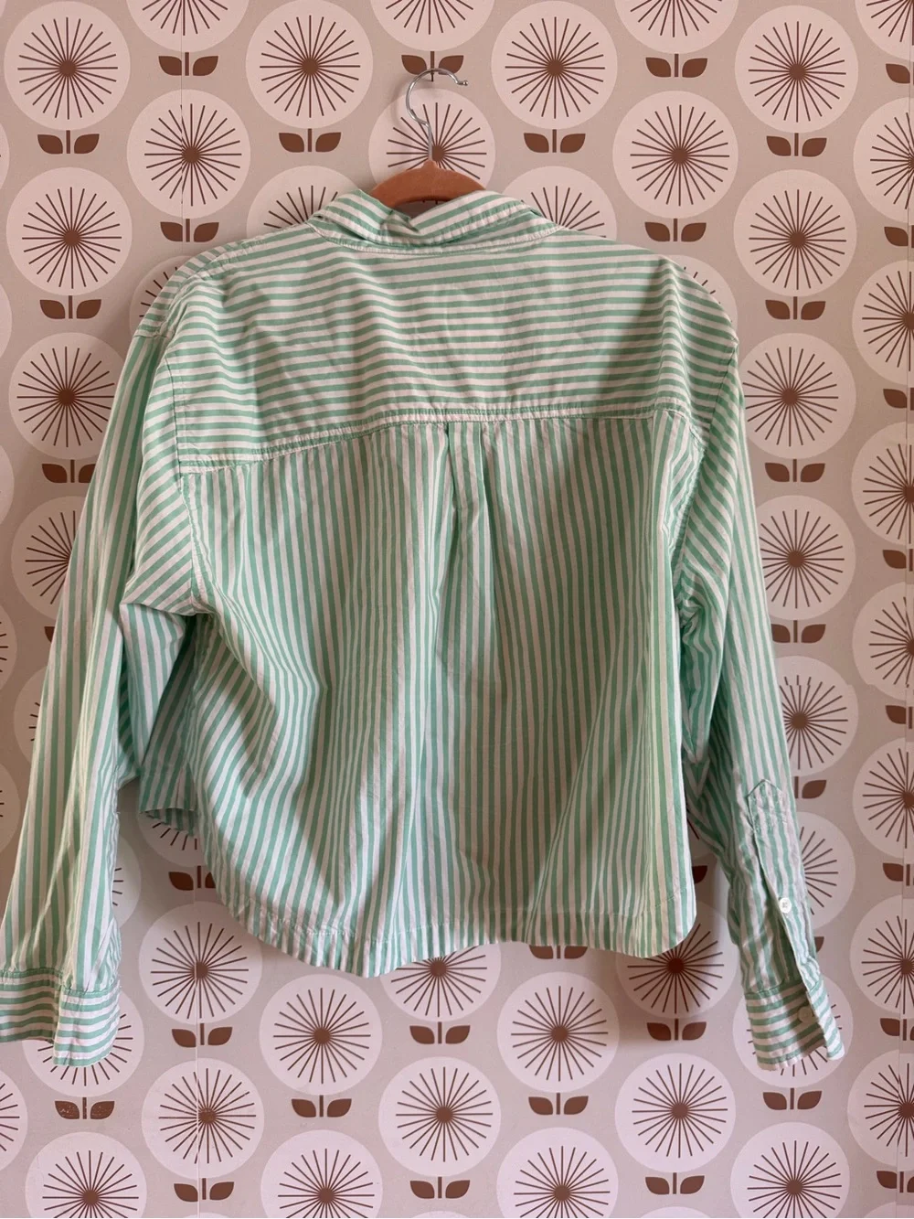 American Eagle Outfitters Mint Green and White Striped Top - Picture 4 of 4